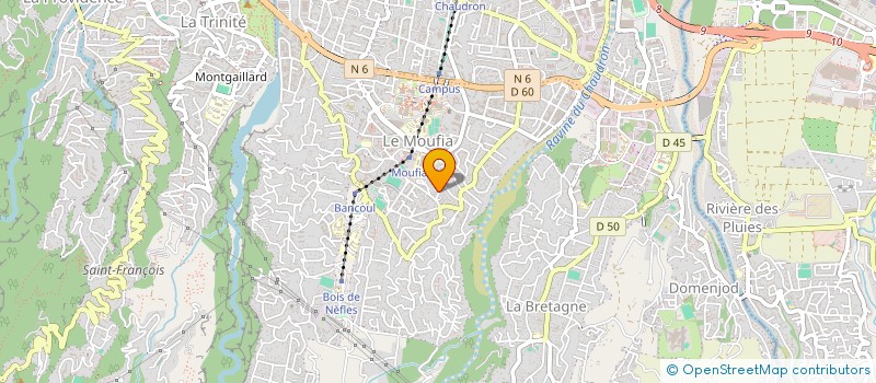 localisation de l'entreprise 919 065 839   SAINT-DENIS