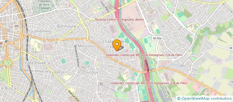 localisation de l'entreprise 919 163 410 à TOULOUSE