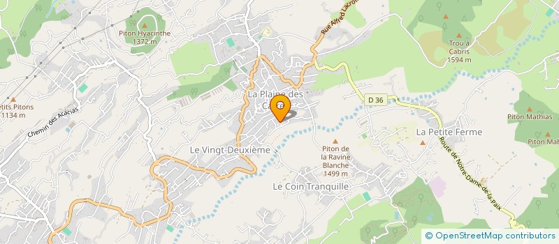 localisation de l'entreprise 919 168 294 à LE TAMPON