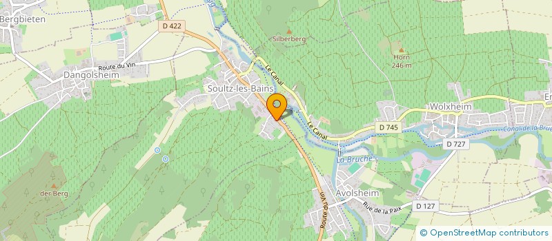 localisation de l'entreprise 919 205 559   SOULTZ-LES-BAINS