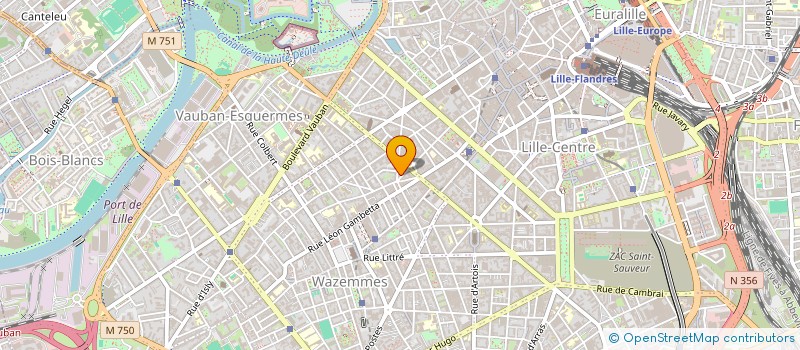 localisation de l'entreprise 919 323 303 à LILLE