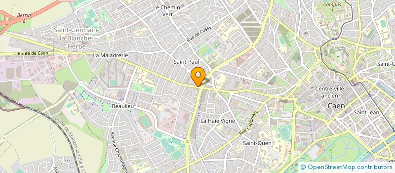 localisation de l'entreprise 919 338 046   SAINT-ETIENNE-LES-REMIREMONT