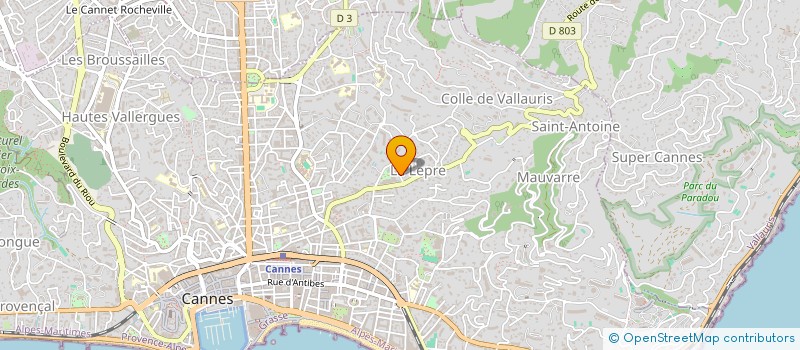 localisation de l'entreprise 919 343 376   CANNES