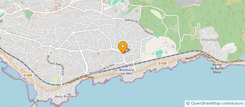 localisation de l'entreprise 919 505 396   SAINT-RAPHAEL