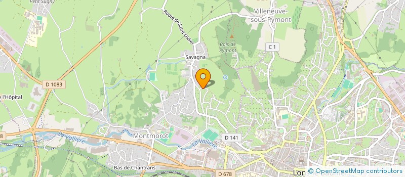 localisation de l'entreprise 919 539 965  à LONS-LE-SAUNIER