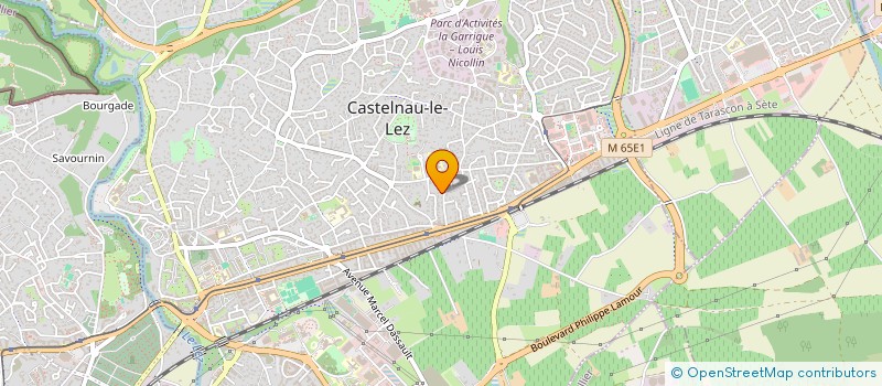 localisation de l'entreprise 919 646 422 à CASTELNAU-LE-LEZ