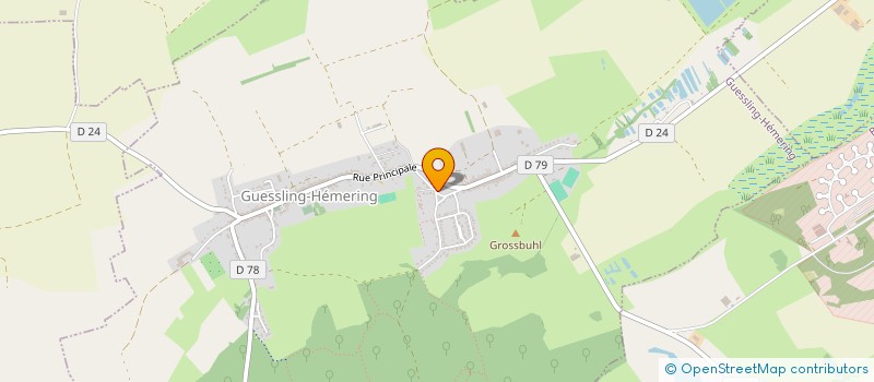 localisation de l'entreprise 919 657 775 à GUESSLING-HEMERING