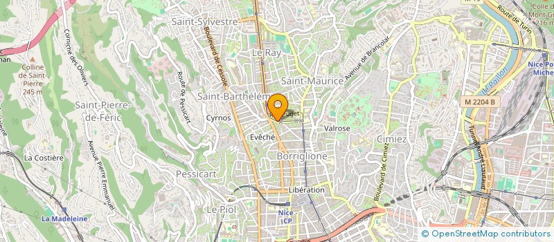 localisation de l'entreprise 919 695 361 à NICE