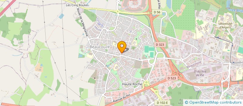 localisation de l'entreprise 919 725 960  à ANGERS