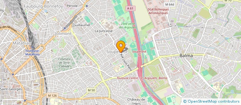 localisation de l'entreprise 919 809 566 à TOULOUSE
