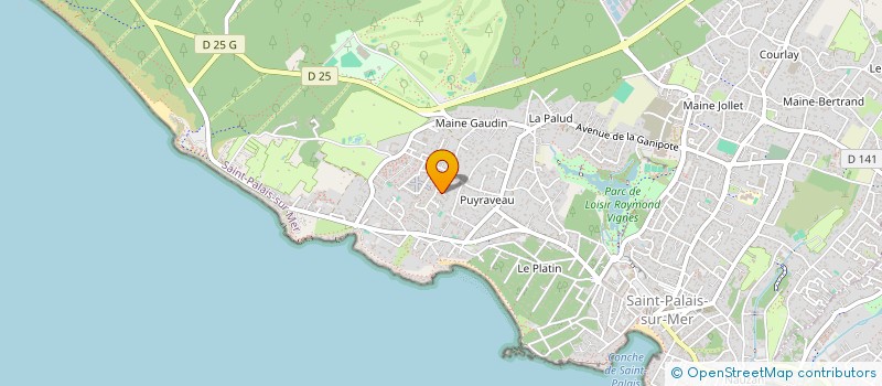 localisation de l'entreprise 919 815 704 à SAINT-PALAIS-SUR-MER