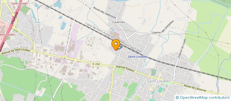 localisation de l'entreprise 919 819 060   SAINT-LOUBES