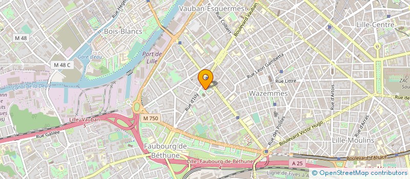 localisation de l'entreprise 919 879 908 à LILLE