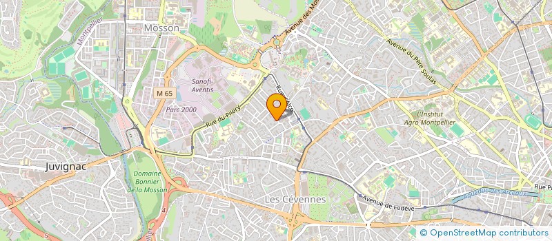 localisation de l'entreprise 919 934 869 à SAINT-CLEMENT-DE-RIVIERE