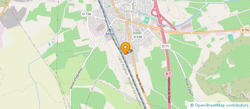 localisation de l'entreprise 919 996 546   SENAS