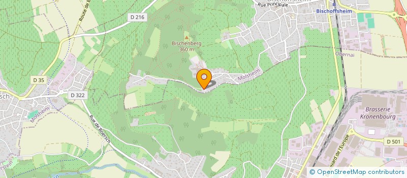 localisation de l'entreprise 920 350 469 à BISCHOFFSHEIM
