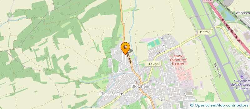 localisation de l'entreprise 920 473 980   BLOTZHEIM