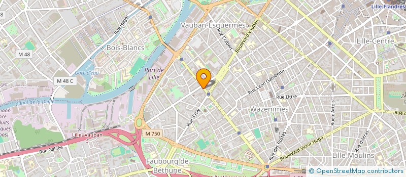 localisation de l'entreprise 920 529 971   LILLE
