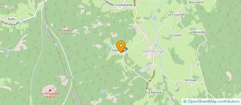 localisation de l'entreprise 920 925 658   YSSINGEAUX