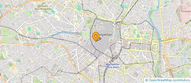 localisation de l'entreprise 920 957 875 à MONTPELLIER