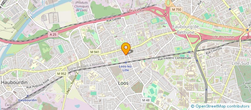 localisation de l'entreprise 921 115 309   LOOS