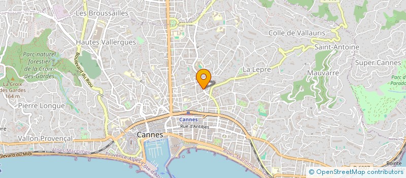 localisation de l'entreprise 921 723 631 à CANNES