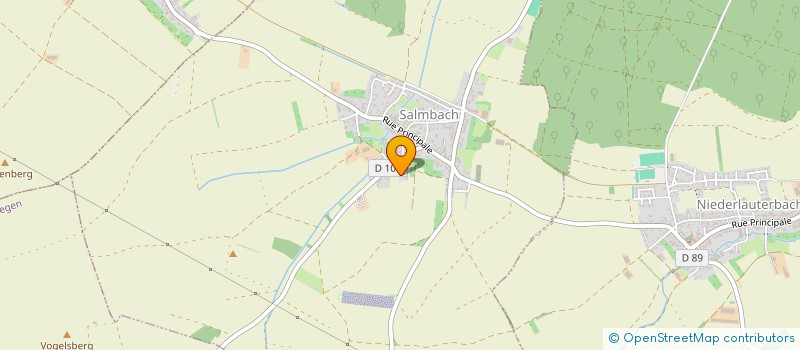 localisation de l'entreprise 921 753 679   SALMBACH