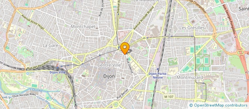 localisation de l'entreprise 923 099 220 à DIJON
