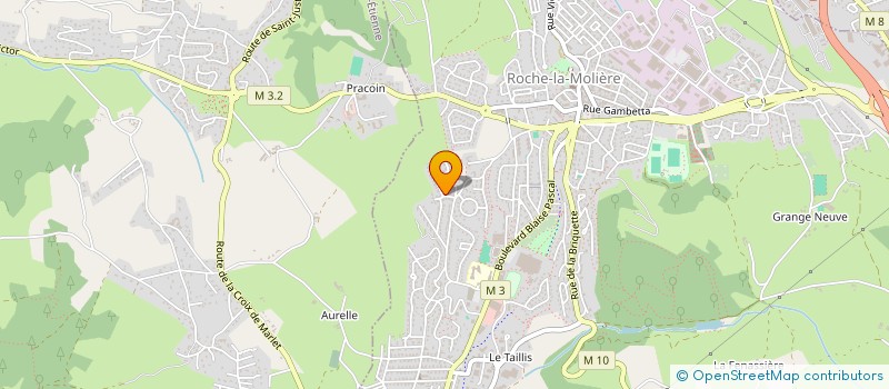 localisation de l'entreprise 923 149 041   ROCHE-LA-MOLIERE