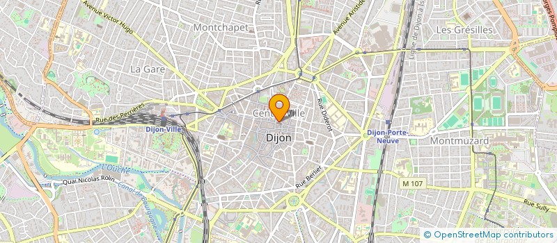 localisation de l'entreprise 923 230 254 à DIJON