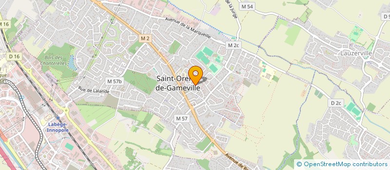 localisation de l'entreprise 924 462 054   SAINT-ORENS-DE-GAMEVILLE