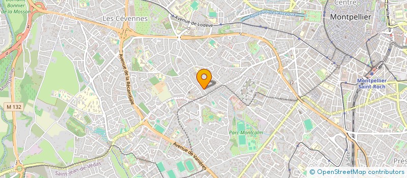 localisation de l'entreprise 925 134 520   SAINT-JEAN-DE-VEDAS