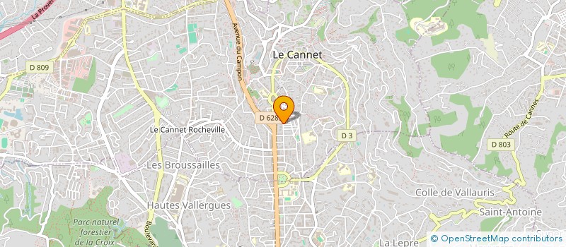 localisation de l'entreprise 925 176 075 à LE CANNET