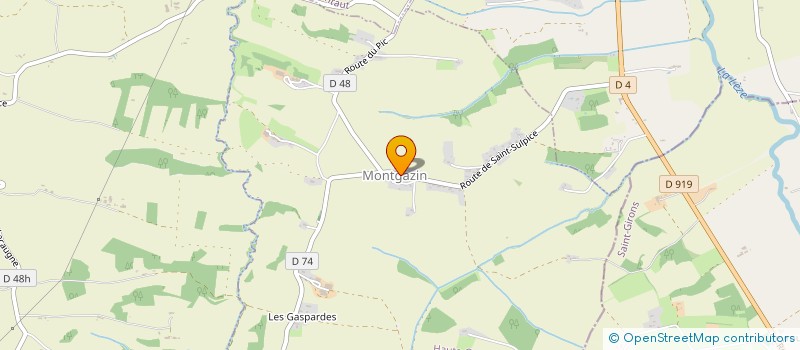 localisation de l'entreprise 928 124 486   MONTGAZIN