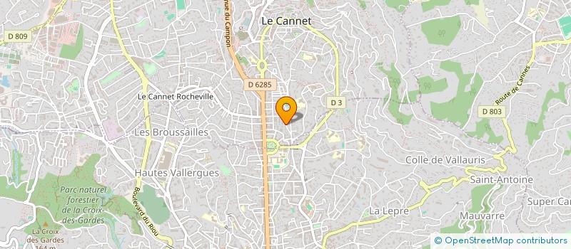 localisation de l'entreprise 928 885 920 à LE CANNET