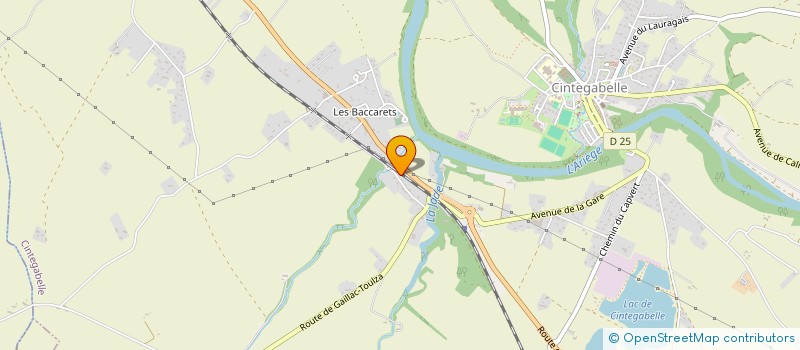 localisation de l'entreprise 928 960 194 à CINTEGABELLE