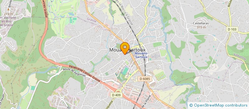 localisation de l'entreprise 929 015 733 à MOUANS-SARTOUX