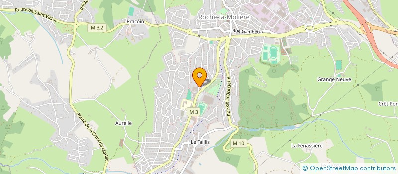 localisation de l'entreprise 929 471 498   ROCHE-LA-MOLIERE