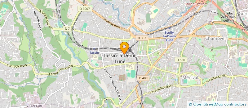 localisation de l'entreprise 931 635 585   TASSIN-LA-DEMI-LUNE