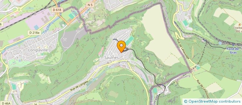 localisation de l'entreprise 931 749 154   SAULNES