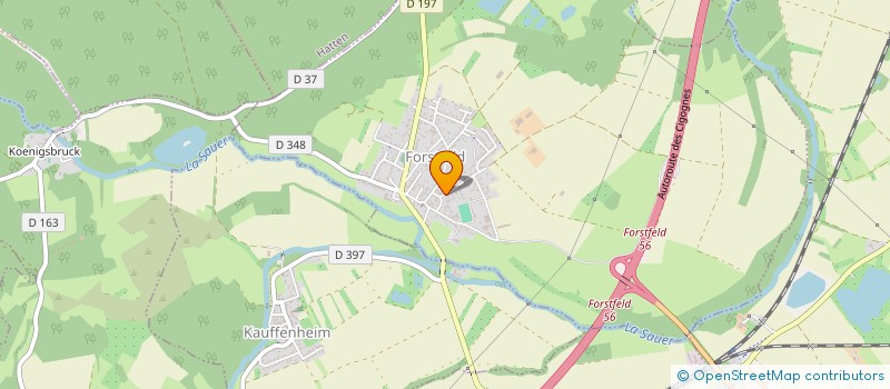 localisation de l'entreprise 932 017 460   FORSTFELD