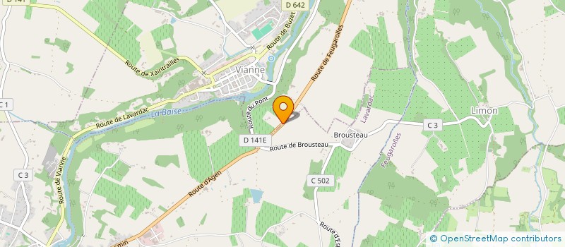 localisation de l'entreprise 933 705 493   VIANNE