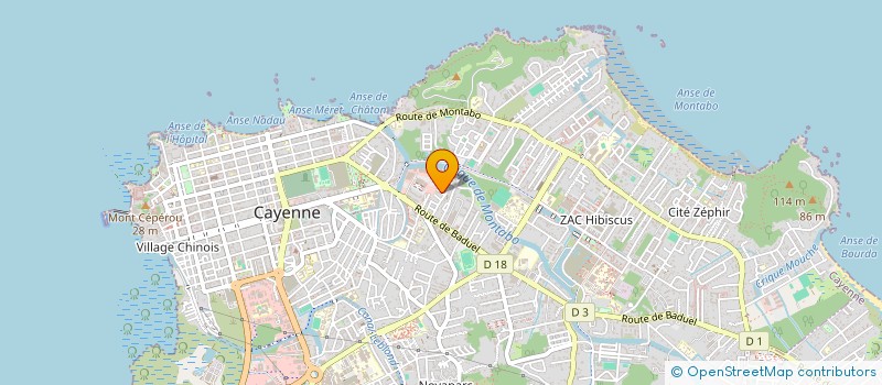 localisation de l'entreprise 933 854 366 à CAYENNE