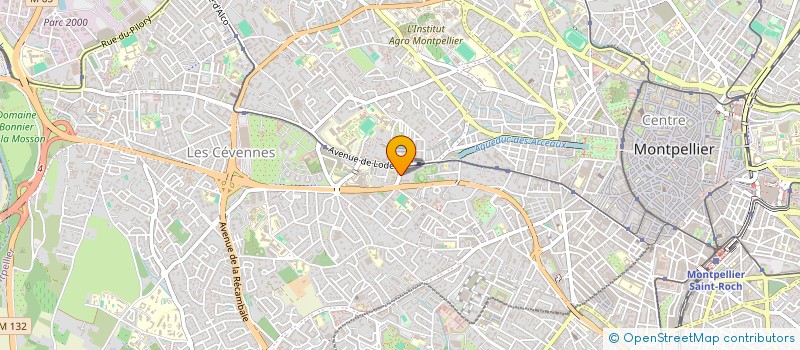 localisation de l'entreprise 934 130 204 à MONTPELLIER