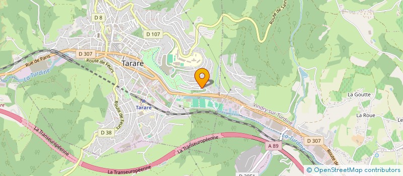 localisation de l'entreprise 934 395 856   TARARE