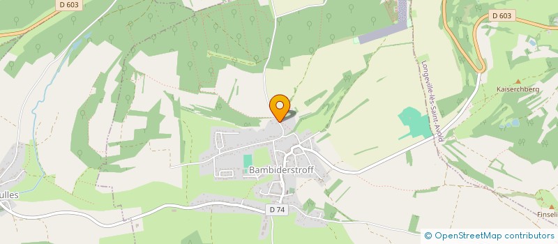 localisation de l'entreprise 934 651 498   BAMBIDERSTROFF