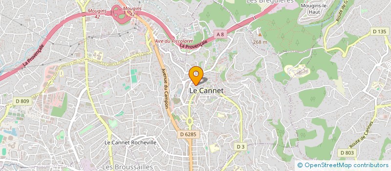 localisation de l'entreprise 935 317 651 à LE CANNET