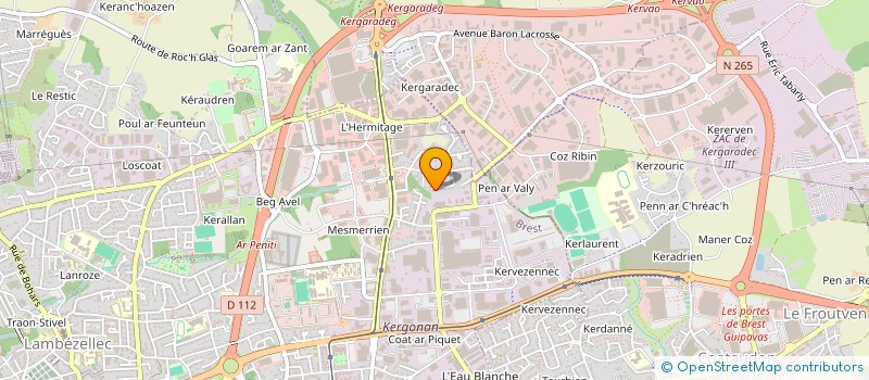 localisation de l'entreprise 938 046 679  à BREST