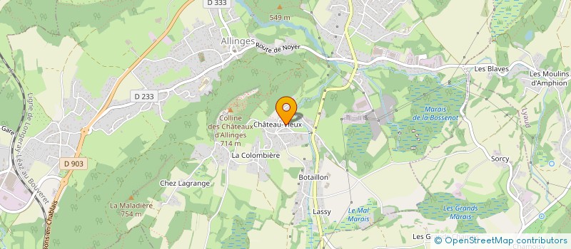 localisation de l'entreprise 938 095 163   ALLINGES