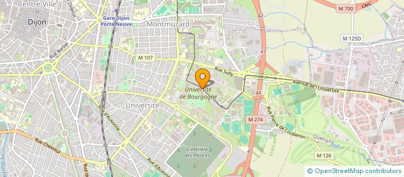 localisation de l'entreprise 938 470 242   DIJON